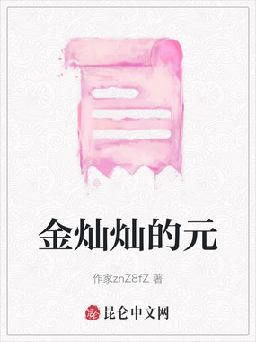 金灿灿的元在线阅读