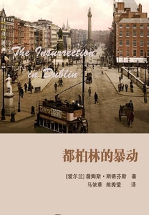 都柏林的暴動(dòng)