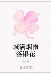 城滿煙雨落銀花