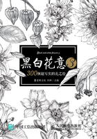 黑白花意3：300例超写实的花之绘在线阅读