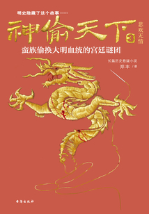 神偷天下3：悲歡無(wú)情