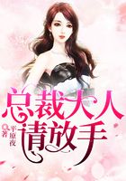 总裁大人:请放手