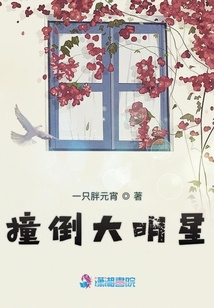 撞倒大明星