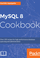 MySQL 8 Cookbook在线阅读