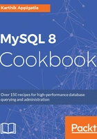 MySQL 8 Cookbook在线阅读