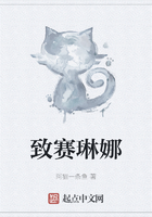 致赛琳娜