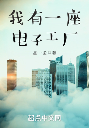 我有一座电子工厂在线阅读