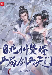 綜武:北州贅婿,開局劍開天門