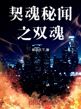 契魂秘闻之双魂在线阅读