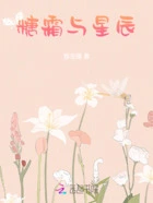 糖霜与星辰在线阅读