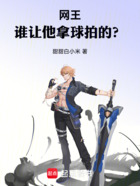 网王:谁让他拿球拍的?在线阅读