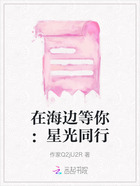 在海邊等你：星光同行在線閱讀