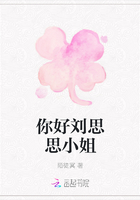 你好劉思思小姐在線閱讀