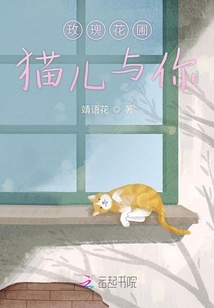 玫瑰花圃貓兒與你