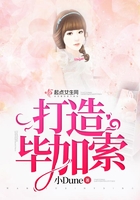 打造畢加索在線閱讀