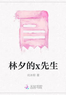 林夕的x先生