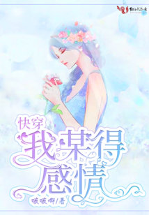 快穿我某得感情