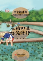 在稻田里踏泥修行在線閱讀