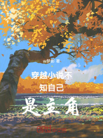 穿越小說不知自己是主角