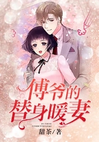 傅爷的替身暖妻在线阅读