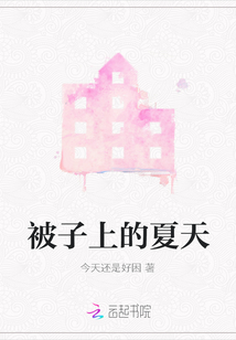 被子上的夏天