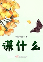 謀什么在線閱讀