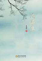 浅草集在线阅读