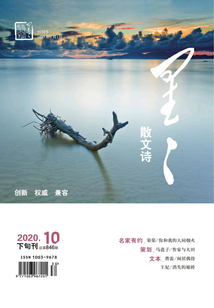 星星·散文詩（2020年第10期）