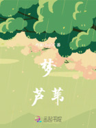夢蘆葦在線閱讀