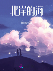 北岸的海