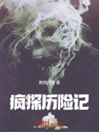 疯探历险记在线阅读