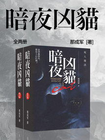 暗夜凶猫（全两册）
