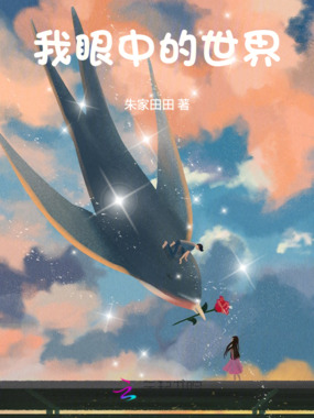 我眼中的世界在线阅读