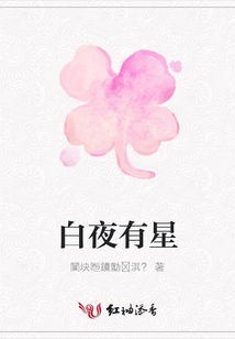 白夜有星