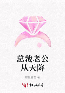 總裁老公從天降