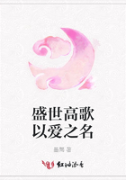盛世高歌以愛之名在線閱讀