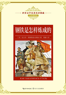 钢铁是怎样炼成的(世界文学名著名译典藏)