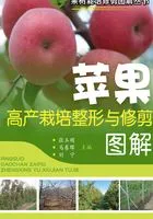 苹果高产栽培整形与修剪图解在线阅读