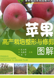 蘋果高產(chǎn)栽培整形與修剪圖解