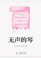 無聲的琴在線閱讀
