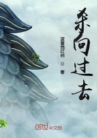 杀向过去在线阅读