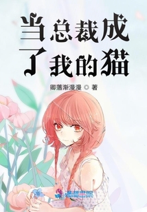 當總裁成了我的貓
