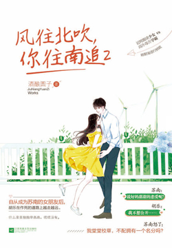 风往北吹，你往南追2 封面