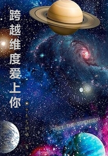 跨越維度愛上你