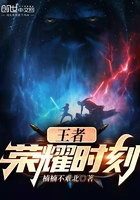 王者：荣耀时刻在线阅读