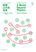 第一推动丛书·综合系列：物理之外的世界