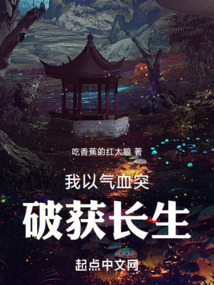我以氣血突破獲長生