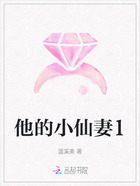 他的小仙妻1