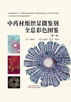中药材组织显微鉴别全息彩色图鉴(第一册)在线阅读