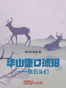 華山壺口琥珀:致石頭們